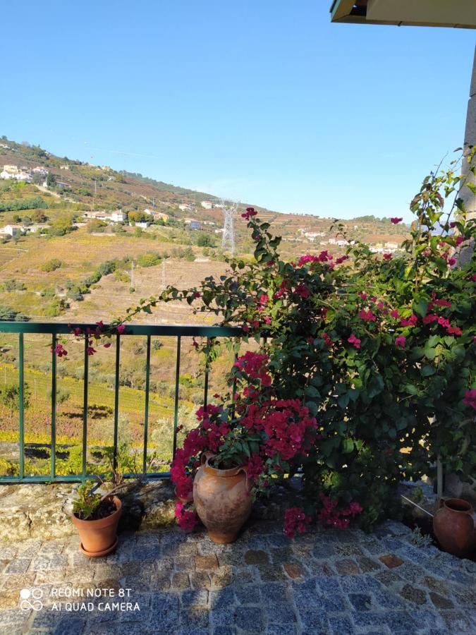 Quinta De Penelas Ламегу Экстерьер фото