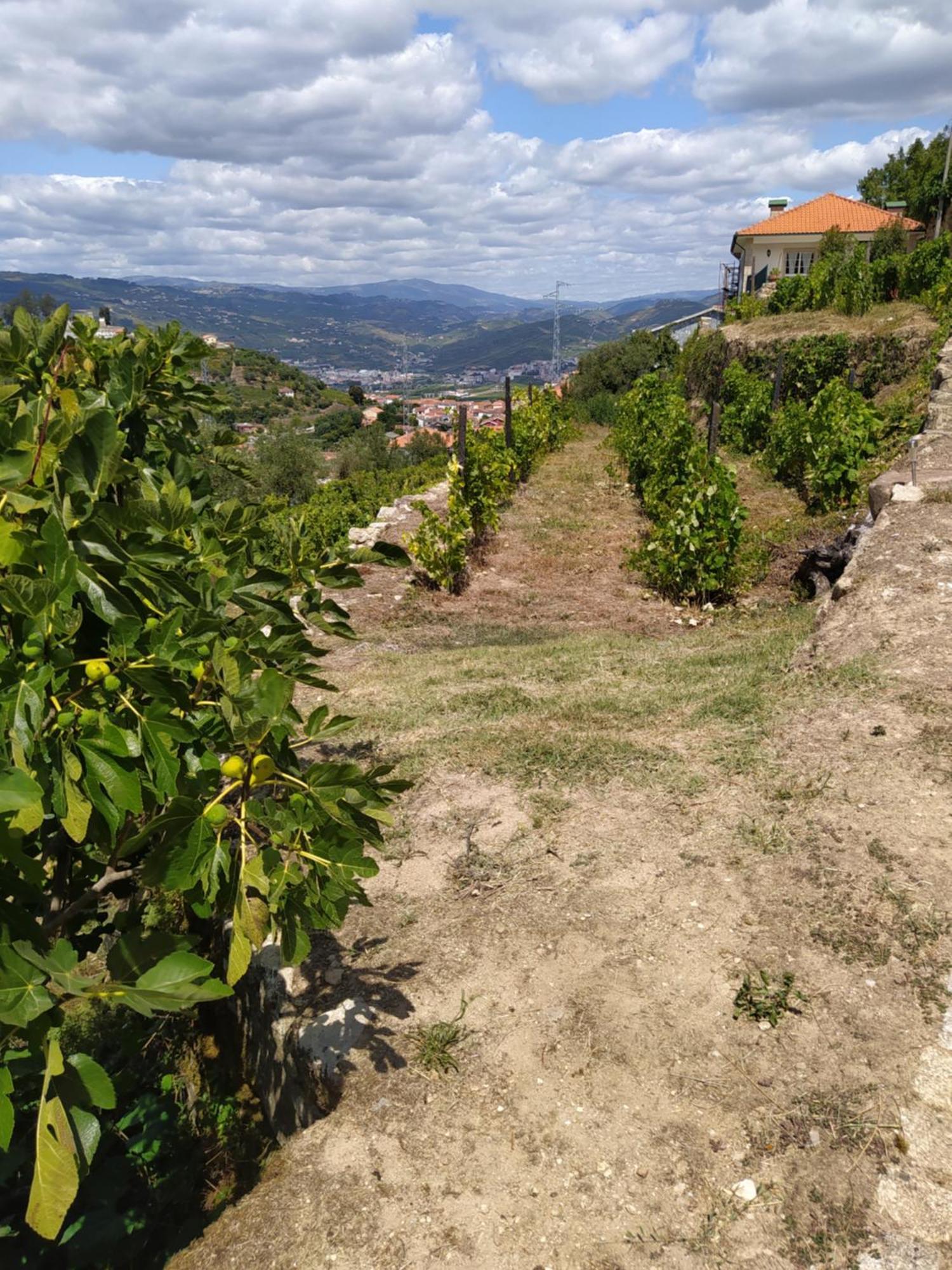 Quinta De Penelas Ламегу Экстерьер фото